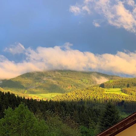 Black Forest Appartement - Brandenkopfblick Цел ам Хармерсбах Екстериор снимка